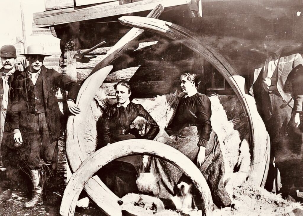 Prospectors with Mammoth Tusks in the Yukon Territory c. 1900