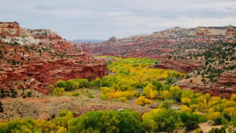 View of the Escalante River, from the Kiva Koffeehouse near Boulder, Utah