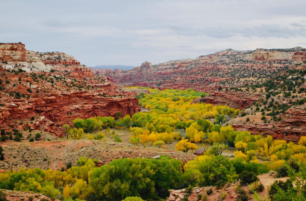 The Escalante River, near Boulder, Utah. 