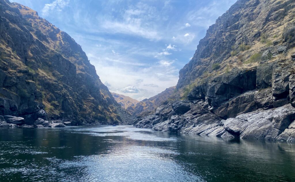 Feeder Stream — The Living River