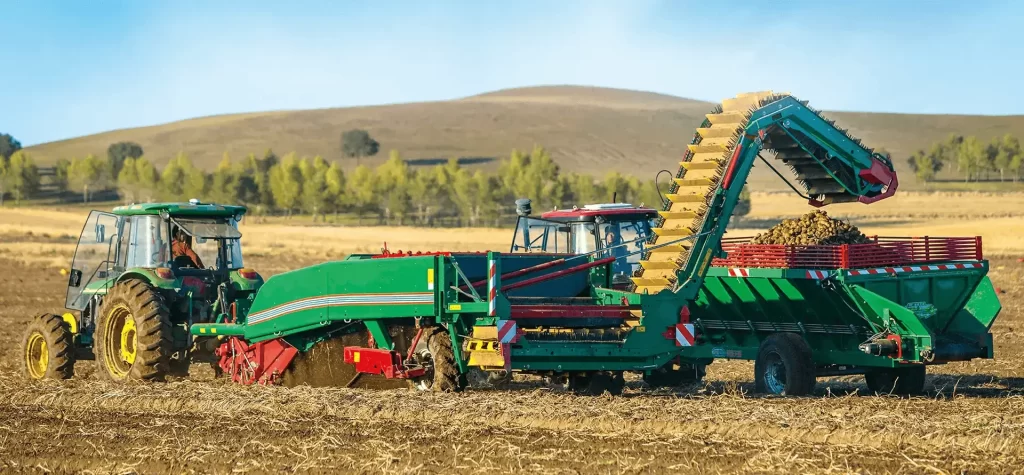 Modern potato harvesting equipment.