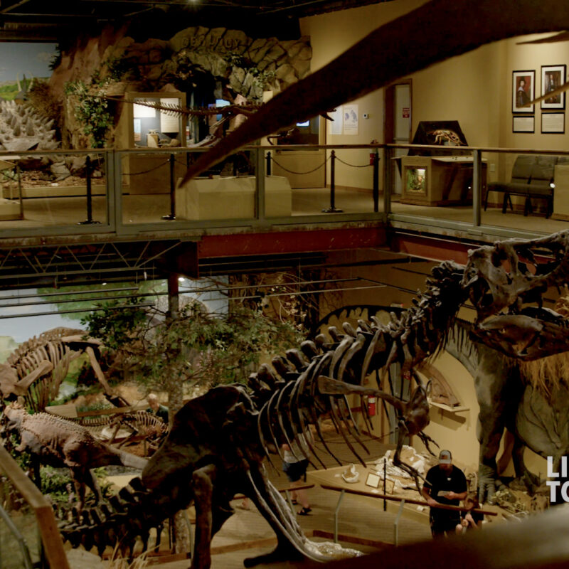 Glendive dinosaur museum