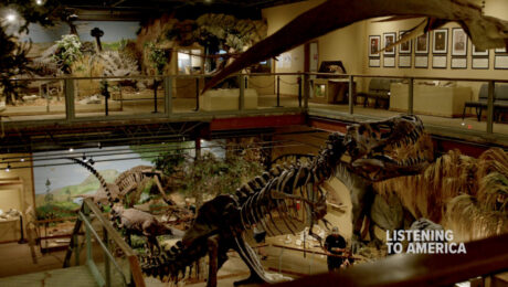 Glendive dinosaur museum