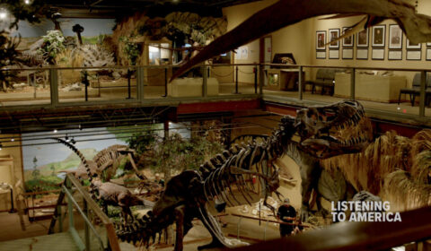 Glendive dinosaur museum