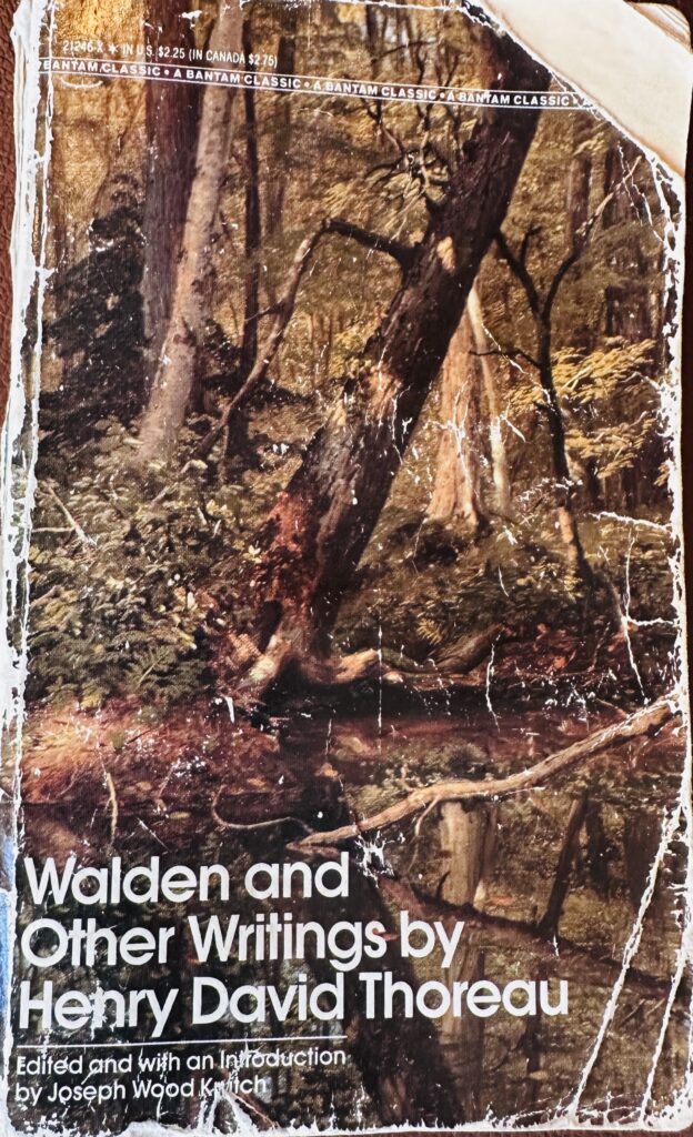 One of Clay's well traveled and much read edition of Walden.