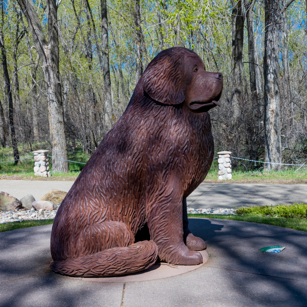 Statue of Seaman, Fort Mandan, North Dakota.