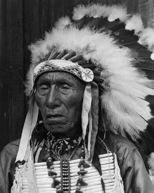 Lakota seer, Black Elk (1863–1950), his life story is the focus of the 1932 book by John G. Neihardt, Black Elk Speaks.