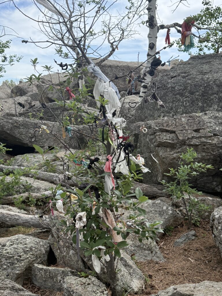 Native Prayer Bundles at Devils Tower National Monument