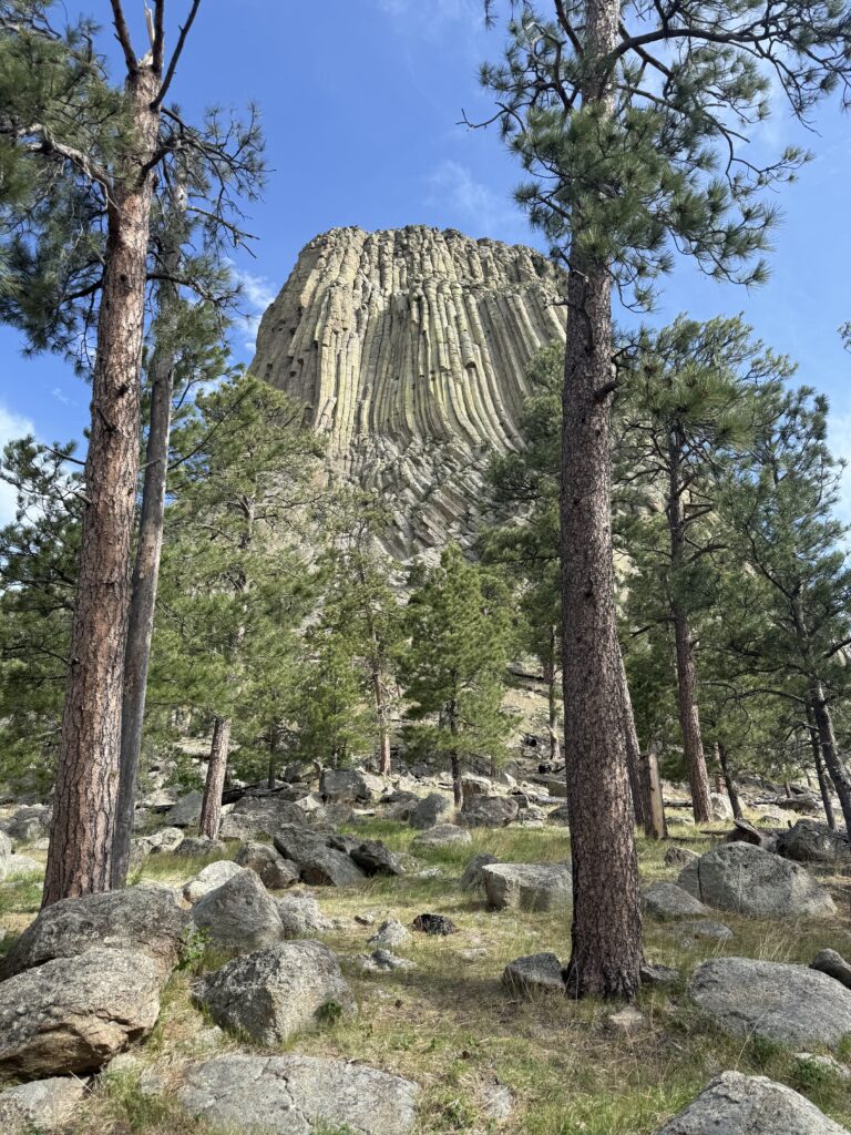 Devils Tower view through trees.