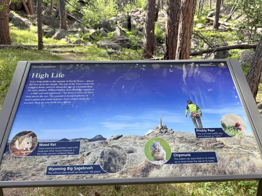 Signage at Devils Tower