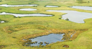 Formed by retreating glaciers 10,000 years ago, Prairie pothole wetlands are shallow, freshwater marshes scattered across the Great Plains. They provide vital waterfowl habitat. According to the EPA, about half of all prairie potholes have been drained or altered for agricultural use.