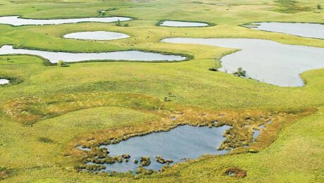 Praire Potholes Ducks UnlimitedStan Buman Formed by retreating glaciers 10,000 years ago, Prairie pothole wetlands are shallow, freshwater marshes scattered across the Great Plains. They provide vital waterfowl habitat. According to the EPA, about half of all prairie potholes have been drained or altered for agricultural use.