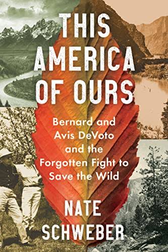 This America of Ours by Nate Schweber.