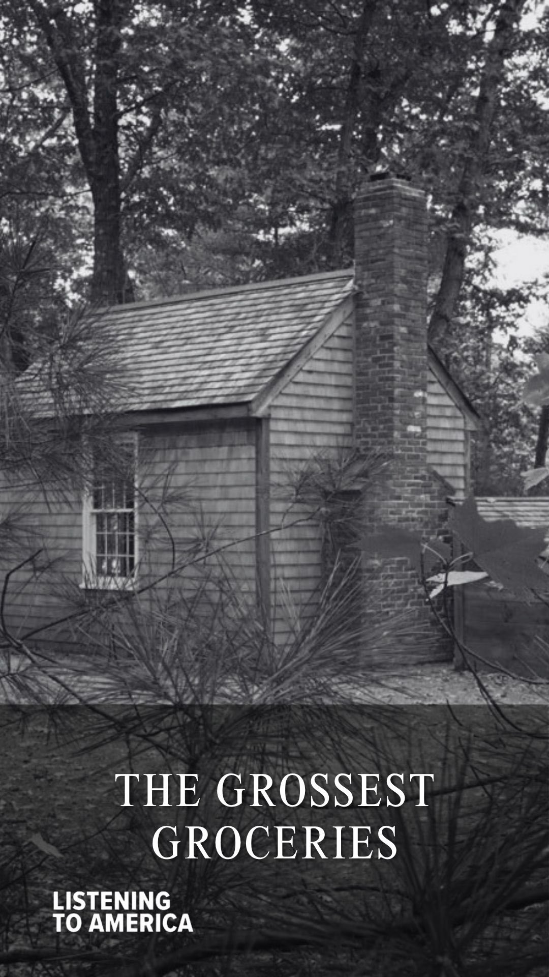 Listening to America