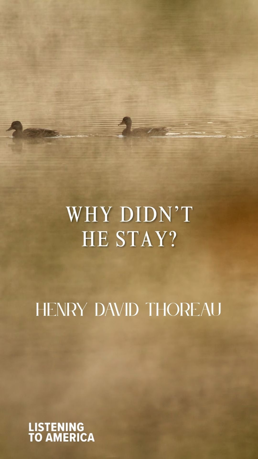 Listening to America