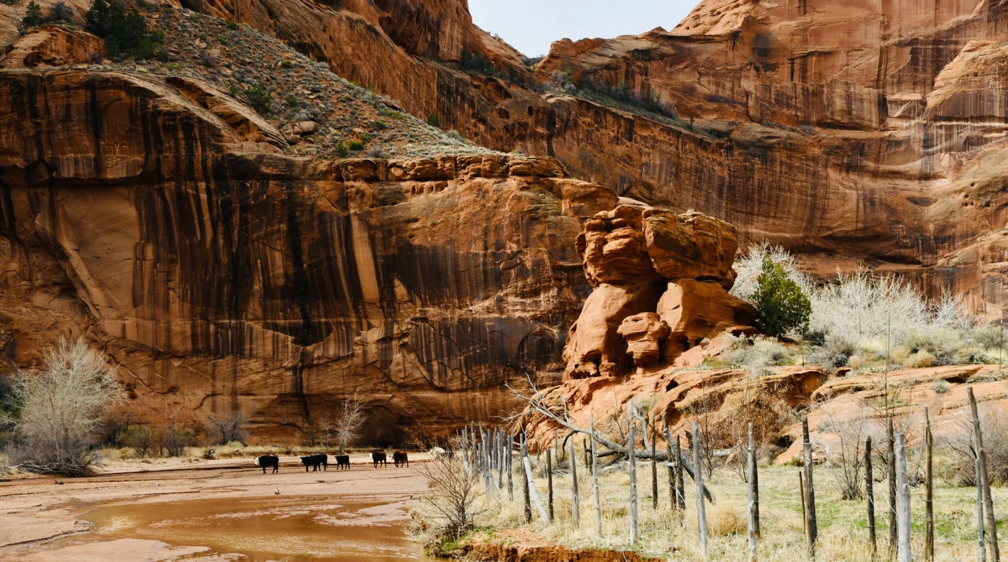 Canyon de Chelly